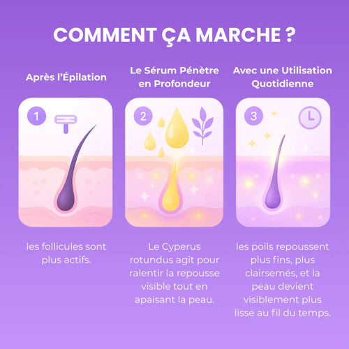 HUILE ANTI-POILS NUIT